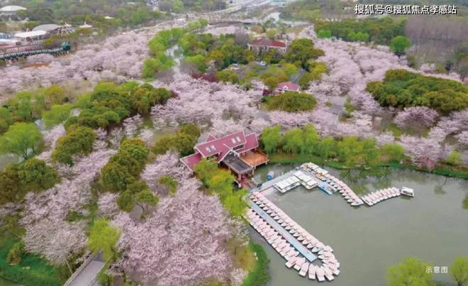 25网站-招商时代乐章最新发布-上海房天下pg电子模拟器免费试玩【招商时代乐章】20(图17)