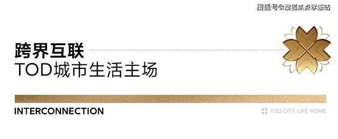 25网站-招商时代乐章最新发布-上海房天下pg电子模拟器免费试玩【招商时代乐章】20(图24)