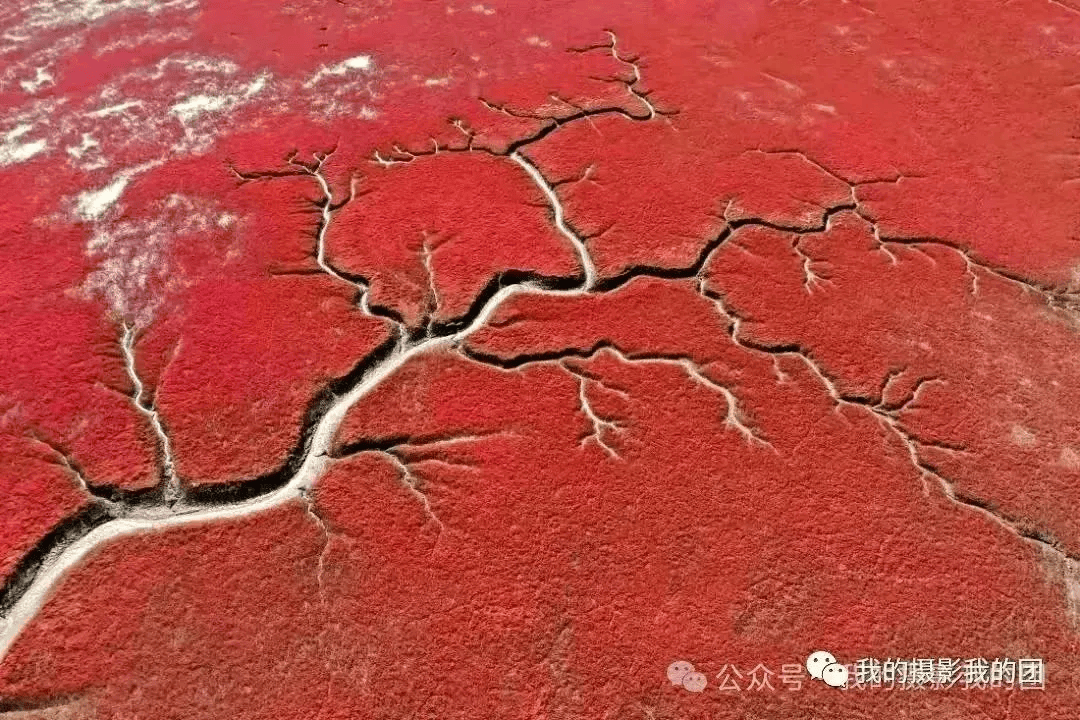 、红海滩、中朝边界鸭绿江、奈曼旗怪柳林、宝古图大漠驼影、五角枫摄影团pg电子网站【确定发团】金秋赏枫来之本溪关门山红叶、老边沟、天桥沟(图2) 、红海滩、中朝边界鸭绿江、奈曼旗怪柳林、宝古图大漠驼影、五角枫摄影团pg电子网站【确定发团】金秋赏枫来之本溪关门山红叶、老边沟、天桥沟(图2)