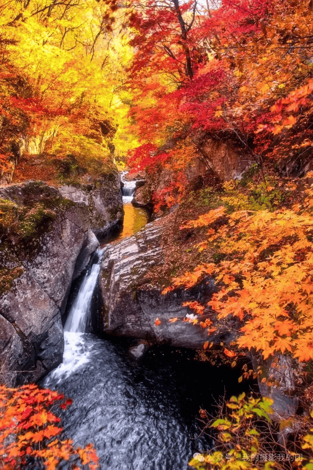 、红海滩、中朝边界鸭绿江、奈曼旗怪柳林、宝古图大漠驼影、五角枫摄影团pg电子网站【确定发团】金秋赏枫来之本溪关门山红叶、老边沟、天桥沟(图4)