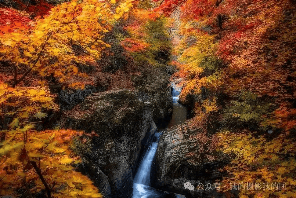 、红海滩、中朝边界鸭绿江、奈曼旗怪柳林、宝古图大漠驼影、五角枫摄影团pg电子网站【确定发团】金秋赏枫来之本溪关门山红叶、老边沟、天桥沟(图6) 、红海滩、中朝边界鸭绿江、奈曼旗怪柳林、宝古图大漠驼影、五角枫摄影团pg电子网站【确定发团】金秋赏枫来之本溪关门山红叶、老边沟、天桥沟(图6)